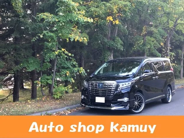 メイン画像