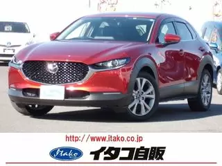 マツダCX-30ナビ・フルセグ・全方位・LED・Pバックドアの画像