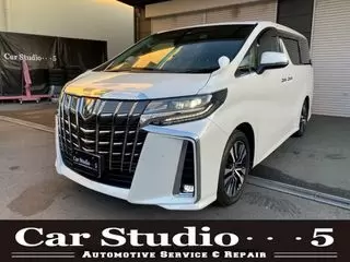 トヨタアルファードサンルーフDミラー　Dオーディオ　スペアTの画像