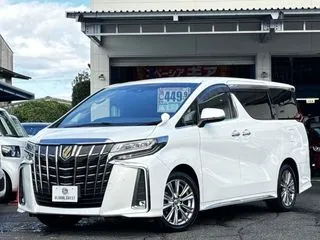 トヨタアルファードワンオーナー車　純正TVナビ　PバッグDの画像