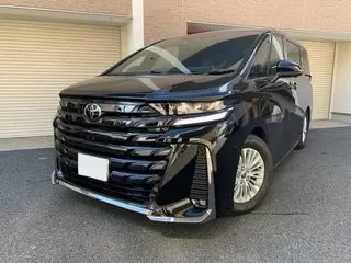 トヨタヴェルファイア車庫保管/オプション装備 /ワンオーナーの画像