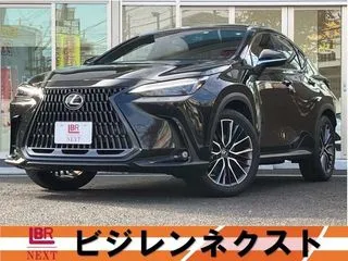 レクサスNXパノラマR・Dインナーミラー・全方位カメラの画像