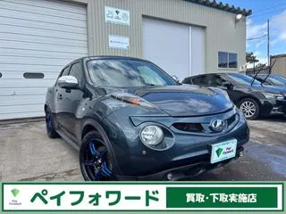 ニッサンジュークLEDライト　エンスタ　夏冬T付　ナビTVの画像