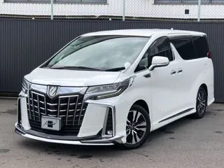 トヨタアルファードモデリスタ　10インチナビ　Rモニターの画像