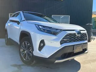 トヨタRAV4純正ナビTV全周囲カメラRパワーハッチの画像