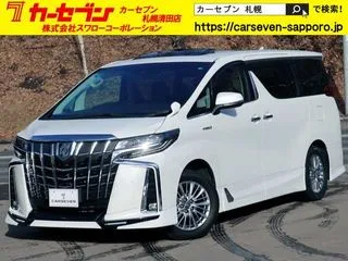 トヨタアルファード後期　TRDエアロ&4本出マフラー　BIGX11型の画像