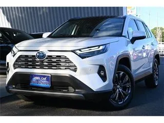 トヨタRAV4パノラマムーンルーフ・純正ナビ+TVの画像