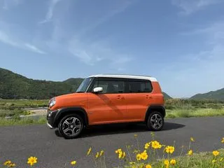 メイン画像